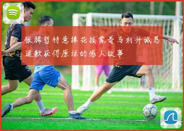 张稀哲特意捧花接蒙哥马利并诚恳道歉获得原谅的感人故事